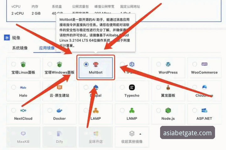 BetAsia怎么样哪个好 揭秘BetAsia怎么样哪个好——新手必看的真实体验与操作指南