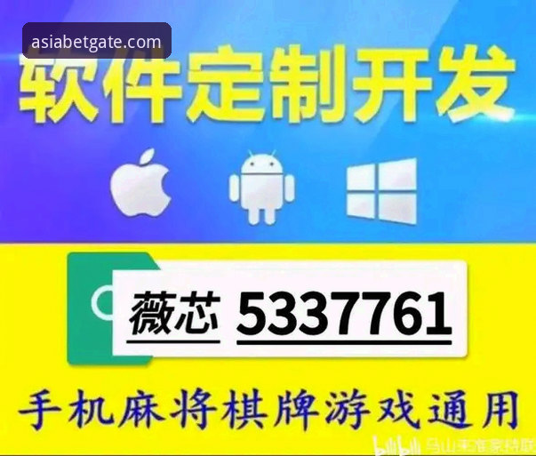 资深赌棍实测BetAsia手机版：安全性深度评测与使用心得