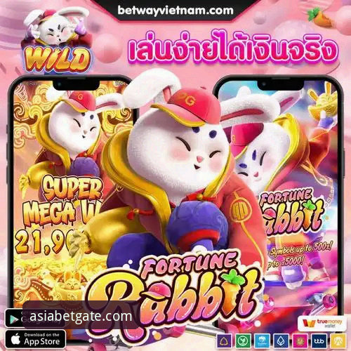 资深玩家分享BetAsia安卓版实战经验：从下载到投注的全新突破体验
